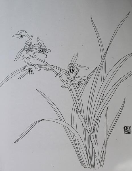 多妈简笔画简单的兰花的画法兰花的简笔画手抄报 花的手抄报兰花图片