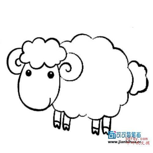 动物简笔画  可爱绵羊简笔画可爱老鼠简笔画 可爱绵羊简笔画小羊