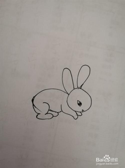 一年级美术简笔画小兔子