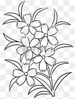 玫瑰花植物花简笔画步骤图片大全二一组植物和花朵简笔画简单好看易学
