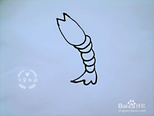 儿童简笔画 如何画一只虾