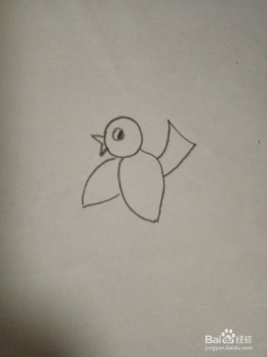 儿童简笔画之小鸟-百度经验