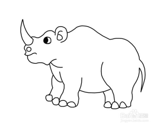 动物简笔画犀牛