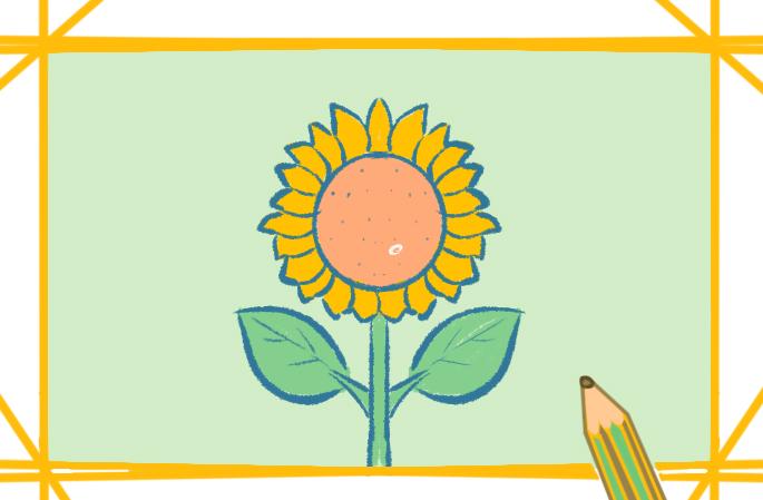 简单的向日葵简笔画教程步骤图片