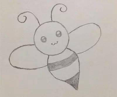 蜜蜂手抄报的简笔画和蜜蜂的资料 蜜蜂的手抄报简单漂亮内容 -蒲城