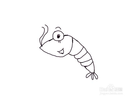 怎么画儿童彩色简笔画卡通动物虾