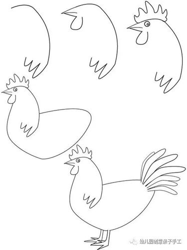 简笔画教程鸡年大吉一起来画一只生肖鸡