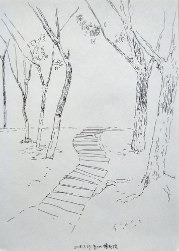 竖版 竖屏冬天的树简笔画图片乡间小路手绘的简笔画 乡间小路素描铅笔