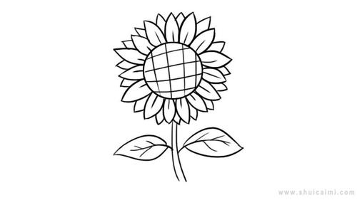 以上内容是关于向日葵简笔画怎么画 向日葵简笔画步骤的解答希望能
