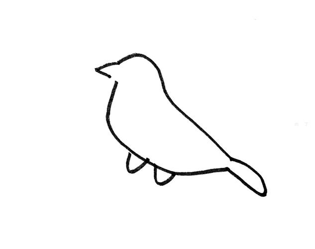 儿童画色彩小鸟的画法 简单可爱简笔画步骤图片