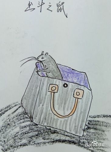 怎样画儿童简笔画兜里的小老鼠