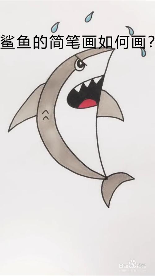 鲨鱼的简笔画如何画