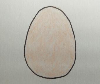 如何画鸡蛋简笔画步骤简笔画鸡蛋的画法