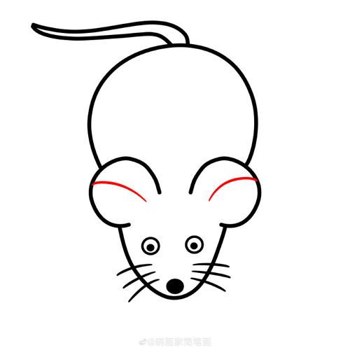 适合幼儿画的老鼠简笔画小动物简笔画教程图片