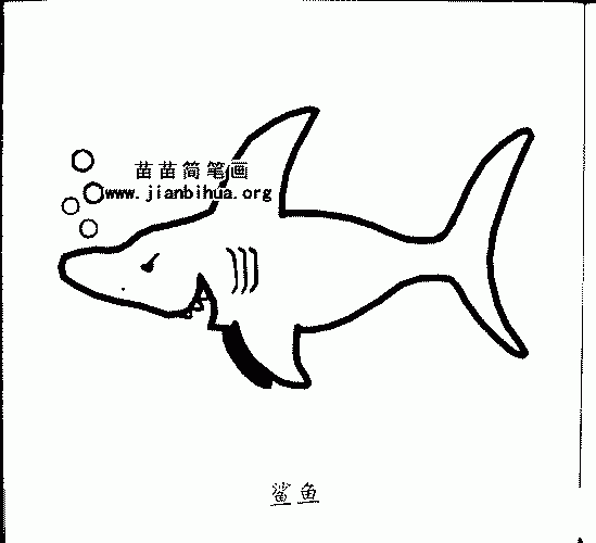 鲨鱼简笔画与如何进食知识