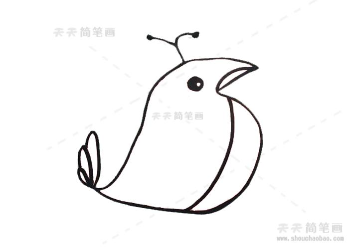 关于小鸟的科普小知识小鸟简笔画画起来是很简单的同学喜欢小鸟那么