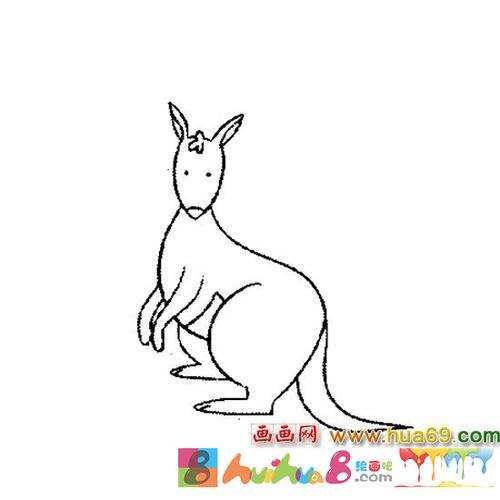 袋鼠动物简笔画4怎么画简笔画教程绘画吧-画画