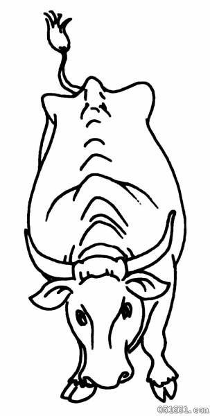 牛的简笔画2