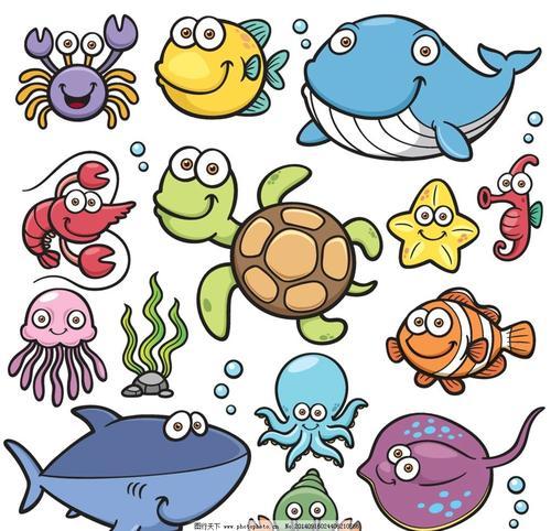 海底动物怎么画简笔画海洋