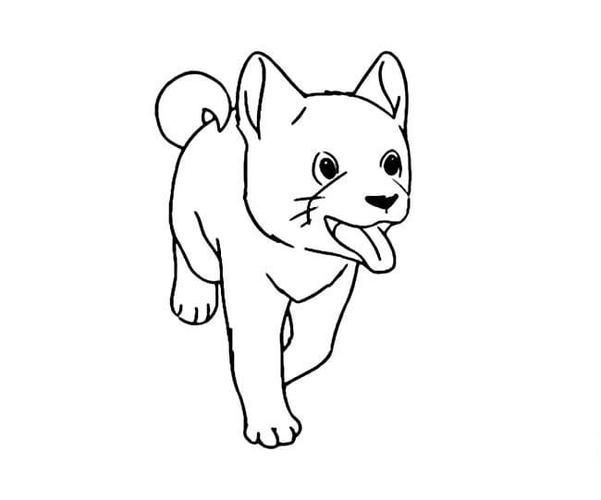 简笔画 动物简笔画 小狗狗儿童简笔画图片狗儿童绘画作品图集  狗是