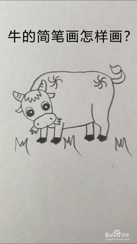 牛的简笔画怎样画-百度经验