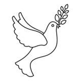 代表和平的鸽子简笔画