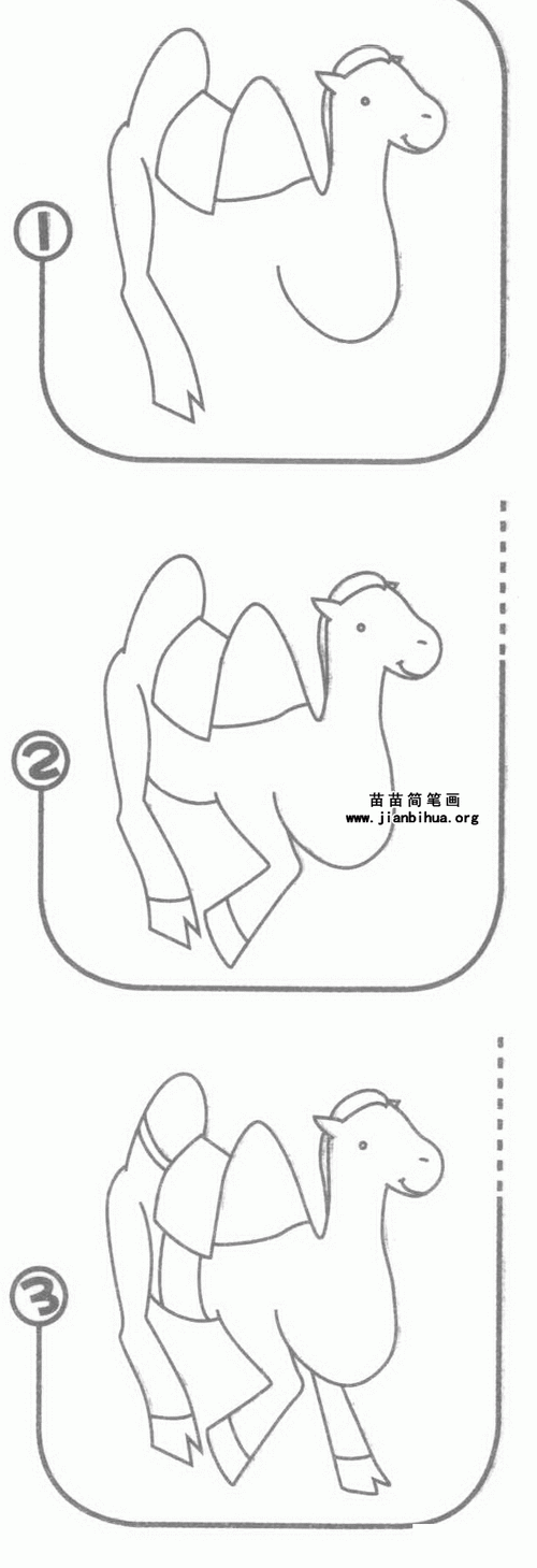 简笔画示例图片 关于骆驼的资料中国骆驼的分布 中国是世界上双峰