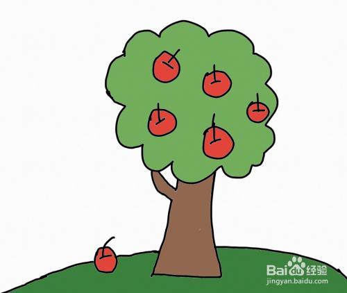 还有苹果树树所有的苹果都涂上颜色彩色简笔画苹果树就画好了