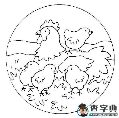 幼儿园春天动物简笔画母鸡和小鸡