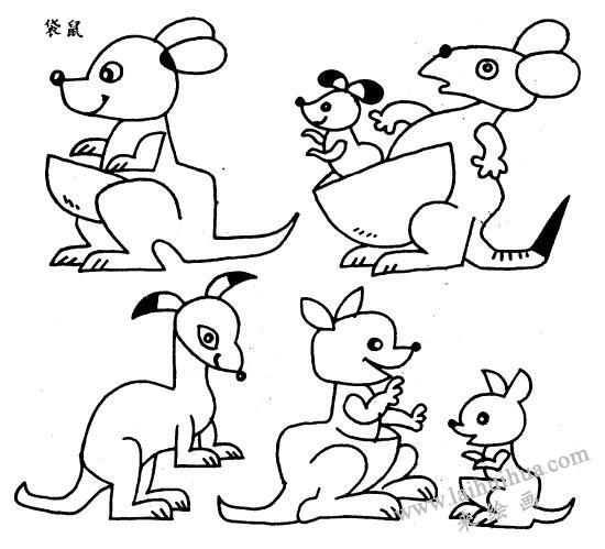 袋鼠简笔画作品图片|动物简笔画- 莱绘画网