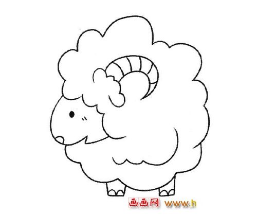 一只绵羊动物简笔画2