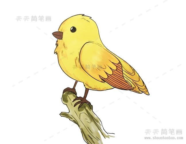 简笔画小鸟怎么画简单画法步骤教程教你画上一只可爱的小鸟