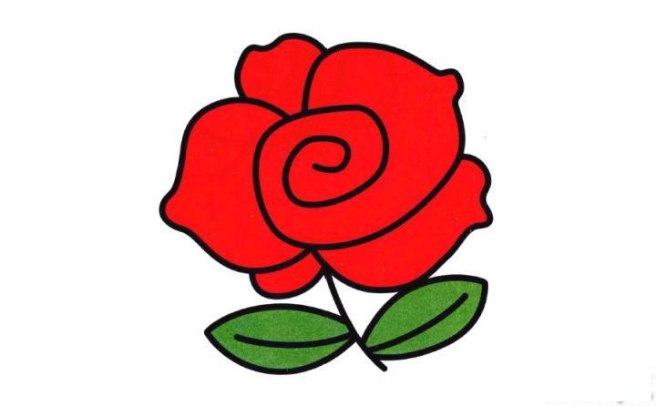 彩色简笔画玫瑰花的图片教程