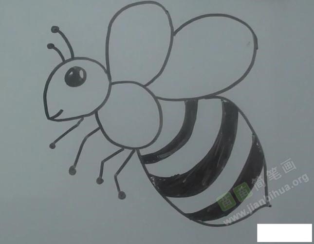 画好后的蜜蜂简笔画图片如下