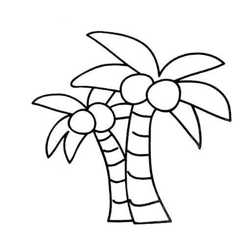 相互背靠背的椰子树简笔画图片植物简笔画简笔