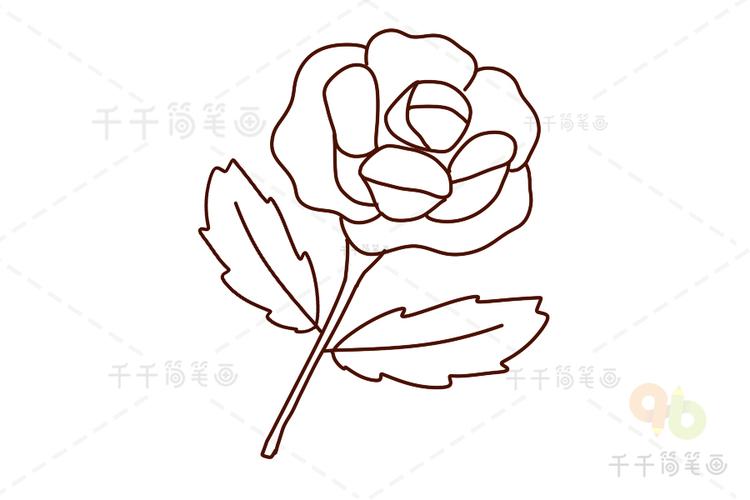 红玫瑰花图片简笔画