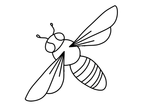 爬行的蜜蜂简笔画图片