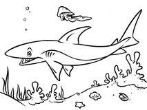 鲨鱼在大海里的简笔画