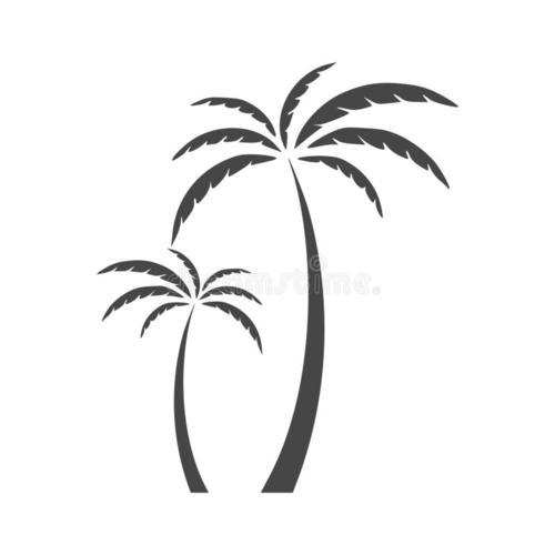 棕榈树拼棕的树叶简笔画