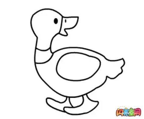 画小鸭子的简笔画视频 简笔画图片大全-蒲城教育文学网