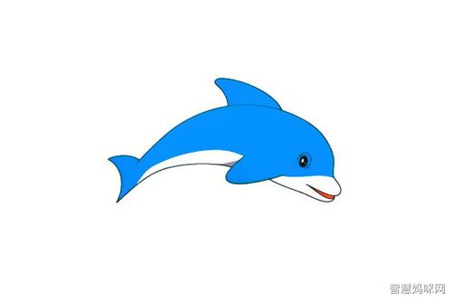 海豚简笔画画法教程