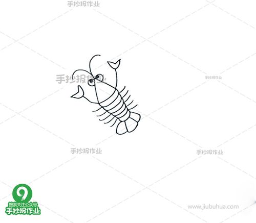 虾海洋动物简笔画