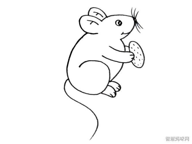 吃坚果的老鼠简笔画