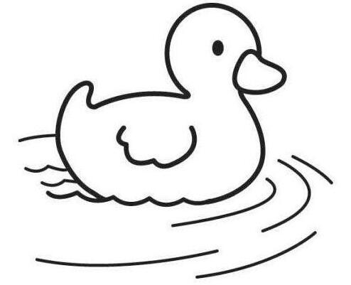 游泳的鸭子怎么画 小鸭简笔画的画法图片教程小鸭戏水简笔画2像小鸭