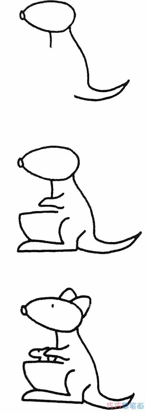 袋鼠的画法手绘带步骤图 怎么画袋鼠简笔画图片