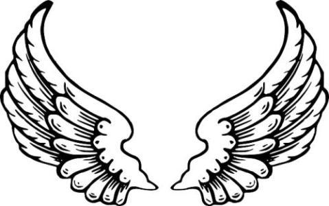 天使的翅膀简笔画图片