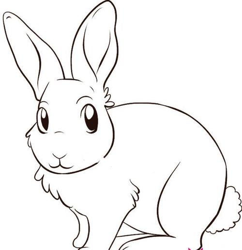 画小兔子的简笔画动物简笔画简笔画大全