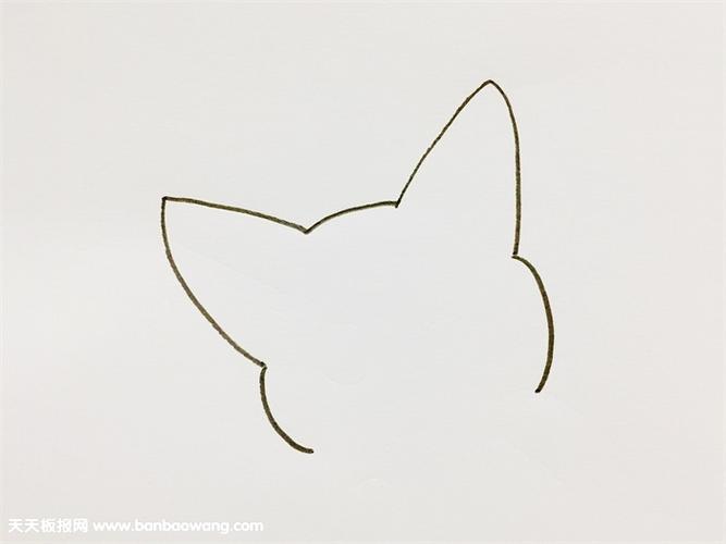 画 动物简笔画      先画出猫的头部以及耳朵的轮廓接着往下画出小猫