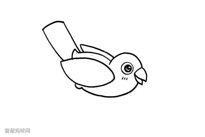 简单小鸟简笔画画法-图4