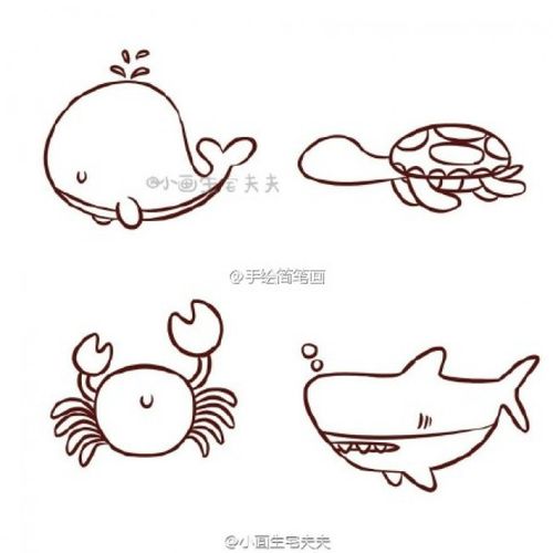 海洋动物简笔画彩色教程海洋动物简笔画怎么画图片教程
